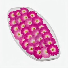 Роза обезвоженная "Пурпурный фламинго" Плоская 20 шт 