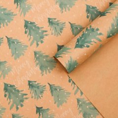 Бумага упаковочная "Merry christmas" 50х70 см 5148347