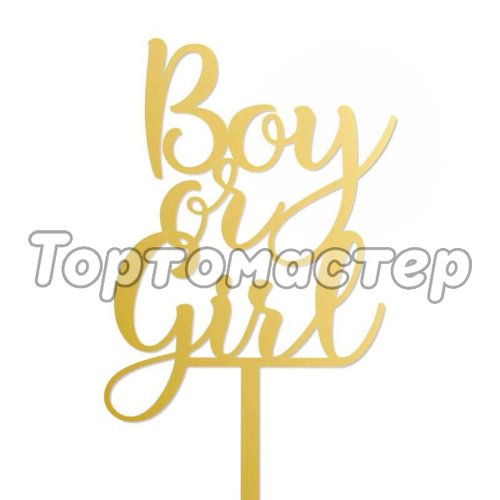 Топпер декоративный "Boy or Girl" TA/13
