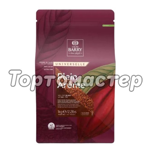 Какао-порошок алкализованный CACAO BARRY Plein Arоme 22-24% 80 г 