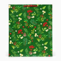 Пакет бумажный "Веточки" 26х32х12 см 10544109, 119 ₽ Пакет бумажный "Веточки" 26х32х12 см 10544109