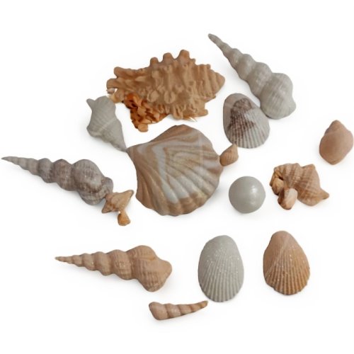 Фигурка из шоколадной глазури "Морской набор №3" 	