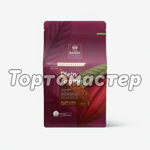 Какао-порошок алкализованный CACAO BARRY Plein Arоme 22-24% 80 г 