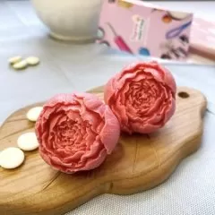 Молд силиконовый 3D "Бутон пиона" 01911