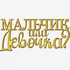 Топпер декоративный акриловый "Мальчик или девочка" Золото 10,5х4 см ТСК412
